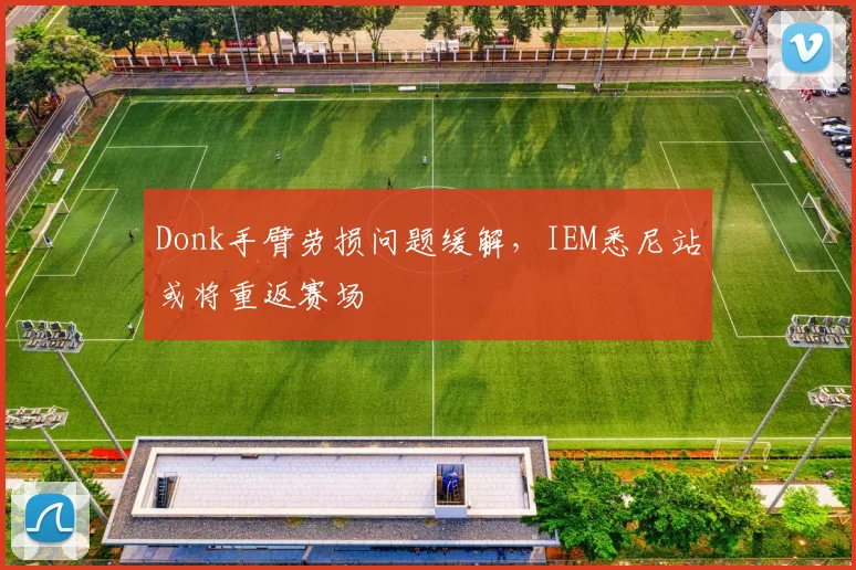 Donk手臂劳损问题缓解，IEM悉尼站或将重返赛场
