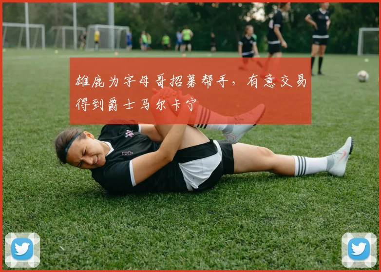 雄鹿为字母哥招募帮手，有意交易得到爵士马尔卡宁